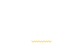 ECCOSHOP